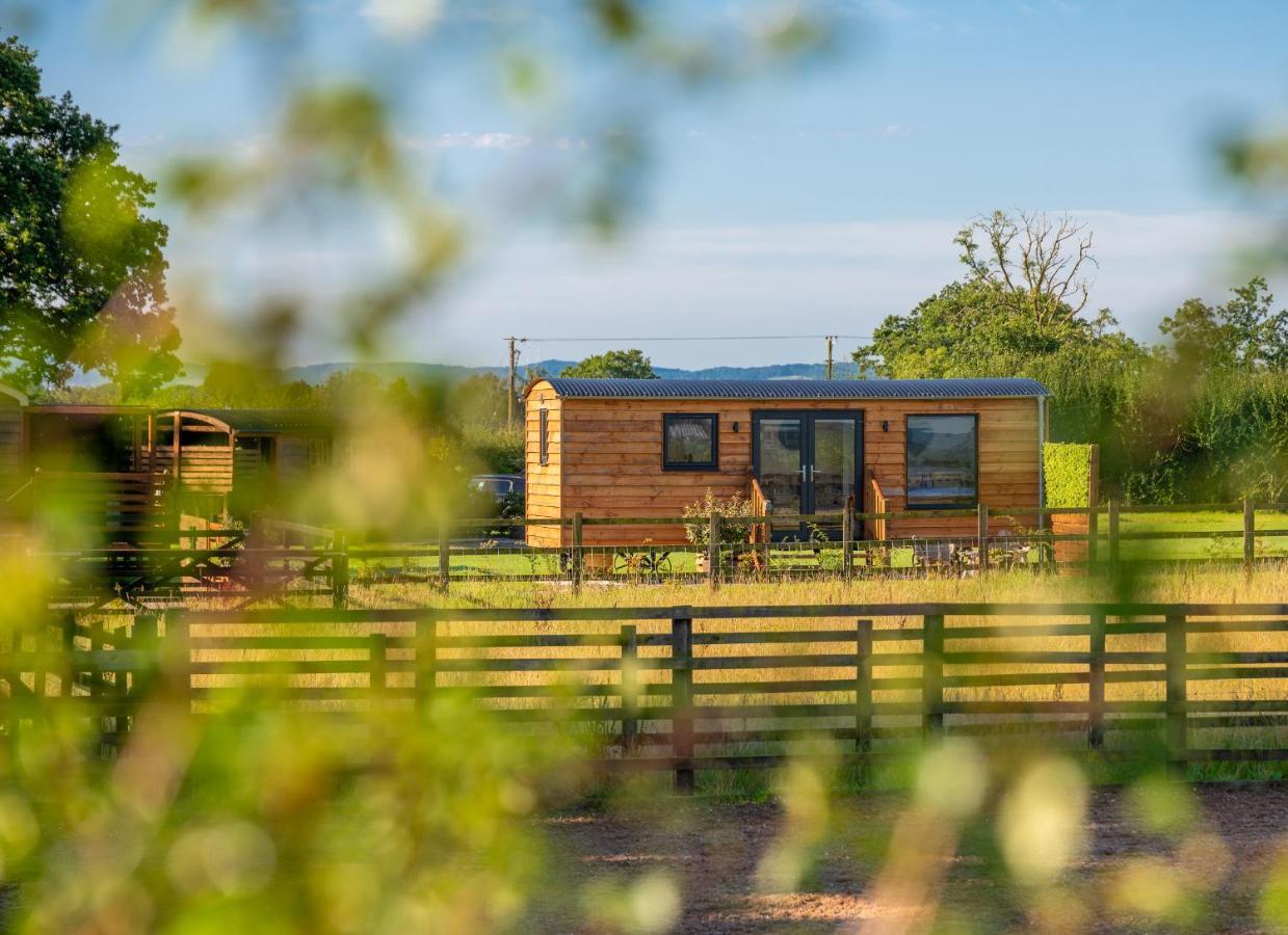 Hotel Abberley Shepherds Hut - Ockeridge Rural Retreats à Wichenford Extérieur photo