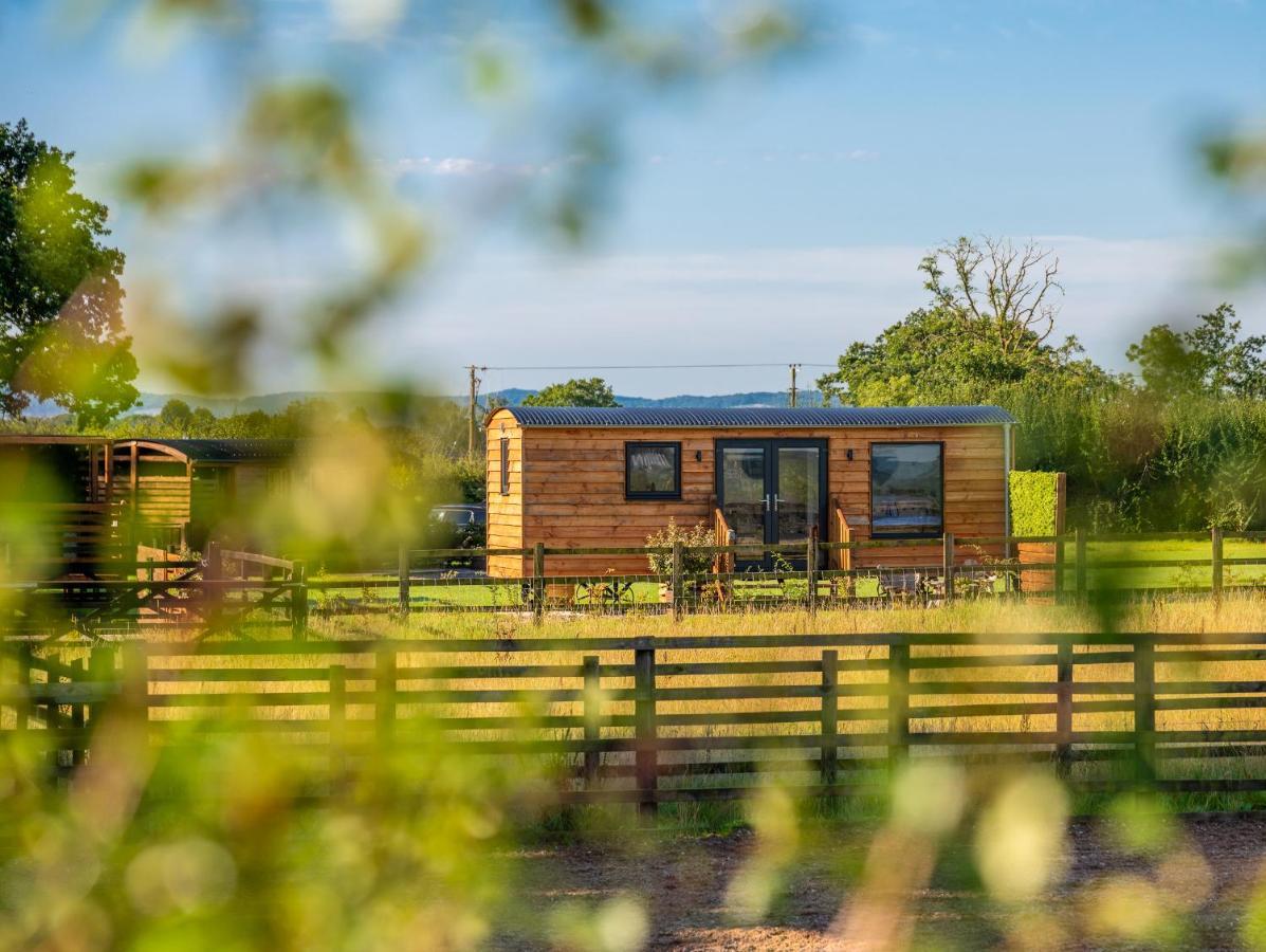 Hotel Abberley Shepherds Hut - Ockeridge Rural Retreats à Wichenford Extérieur photo