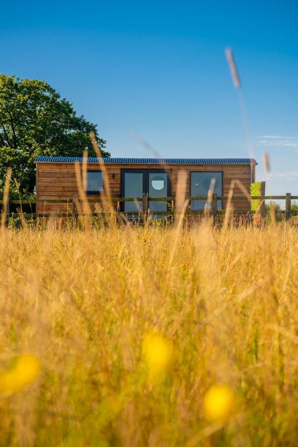 Hotel Abberley Shepherds Hut - Ockeridge Rural Retreats à Wichenford Extérieur photo