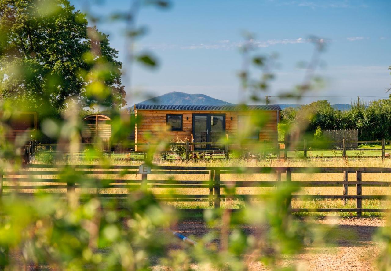 Hotel Abberley Shepherds Hut - Ockeridge Rural Retreats à Wichenford Extérieur photo